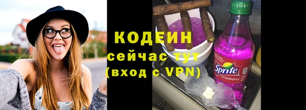 хмурый Лиски