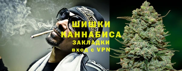 PSILOCYBIN Лихославль
