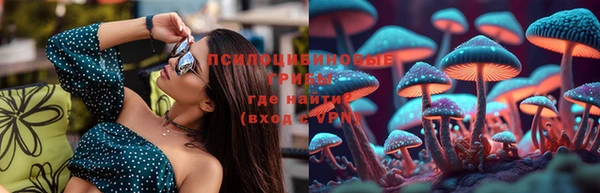 PSILOCYBIN Лихославль