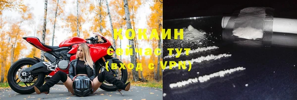 хмурый Лиски