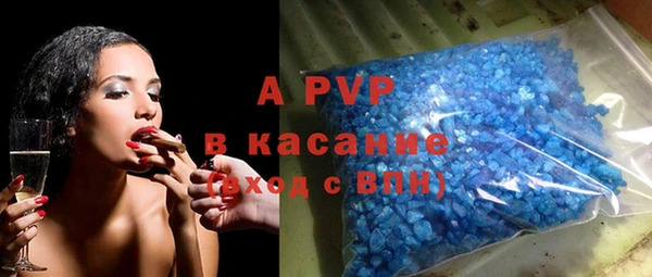 ECSTASY Магас
