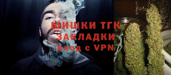 хмурый Лиски