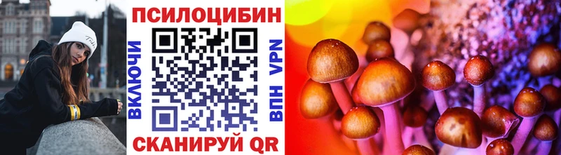 Псилоцибиновые грибы Magic Shrooms закладка блэк спрут ССЫЛКА Яровое
